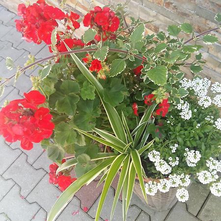 Domek 87 Krynica Zdrój Kültér fotó