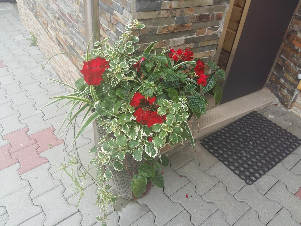 Domek 87 Krynica Zdrój Kültér fotó