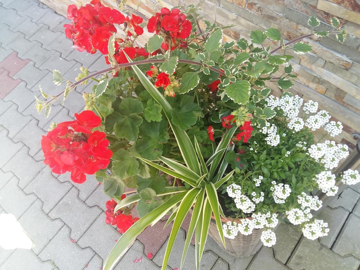 Domek 87 Krynica Zdrój Kültér fotó